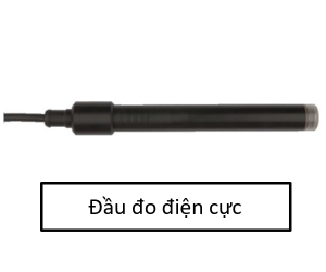 Đầu đo điện cực