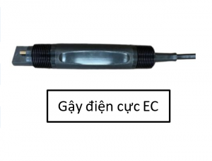 Gậy điện cực EC